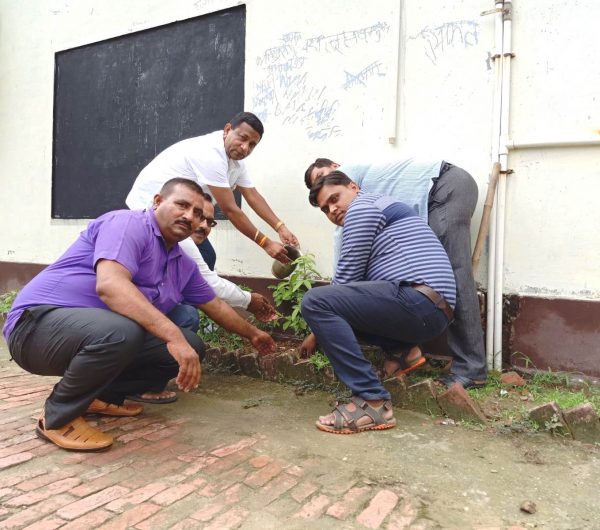 plant1
